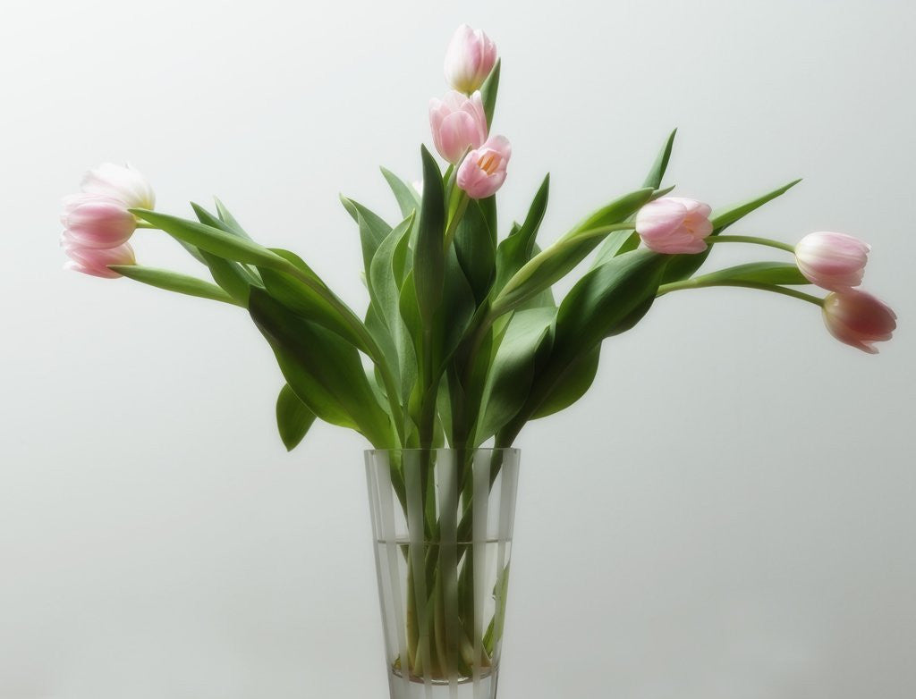 Detail of Flower Arrangement by Anonymous