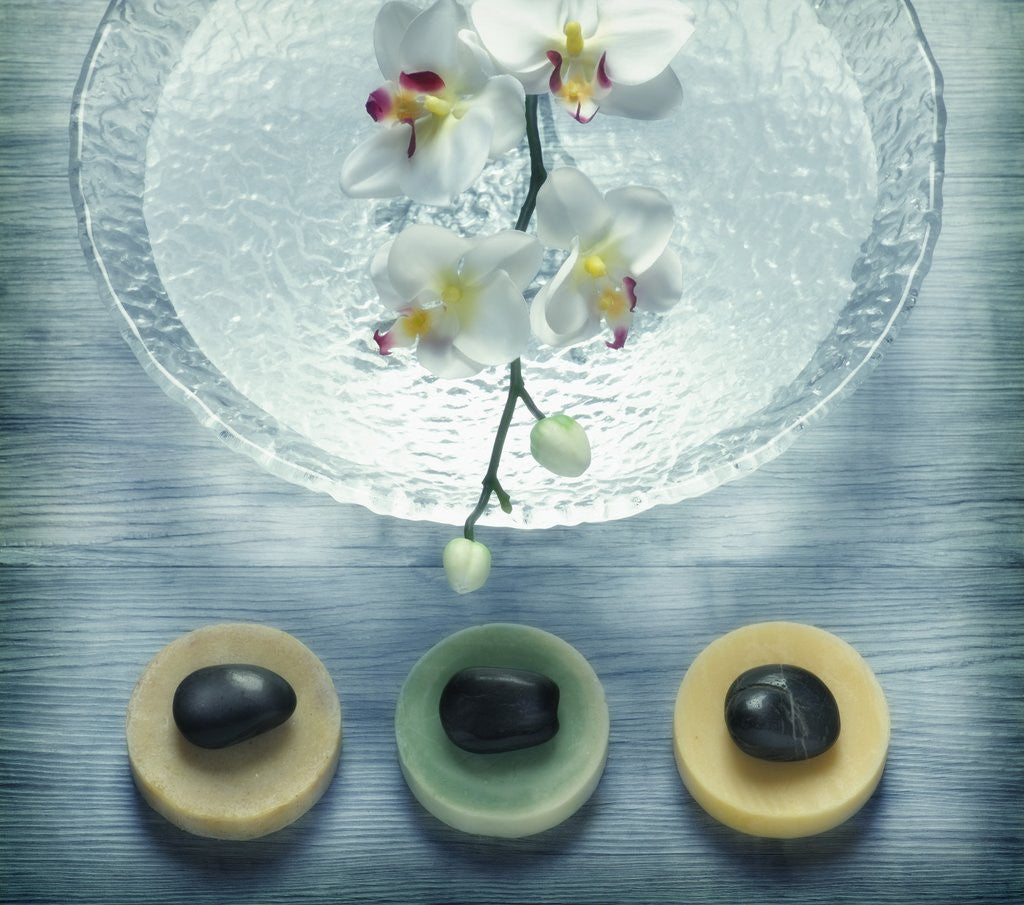 Detail of Bowl of Water and Soaps by Corbis