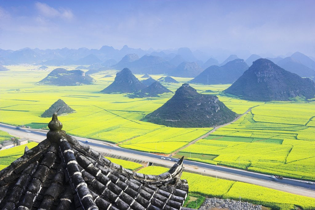 Detail of Rape Fields and Cone Hills by Anonymous