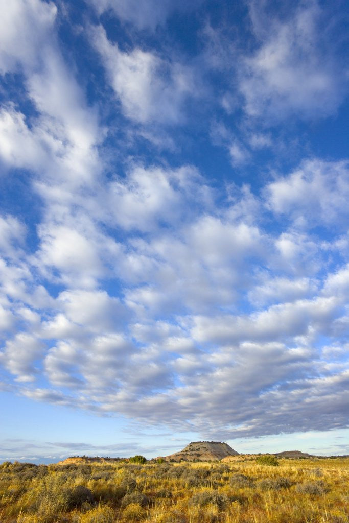 Detail of Sky Above Desert Plain by Anonymous