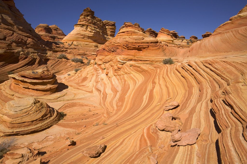 Detail of Red Sandstone Buttes and Layers in Desert by Anonymous
