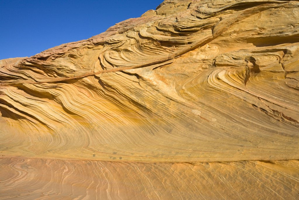 Detail of Folds and Layers of Sandstone Wall by Anonymous