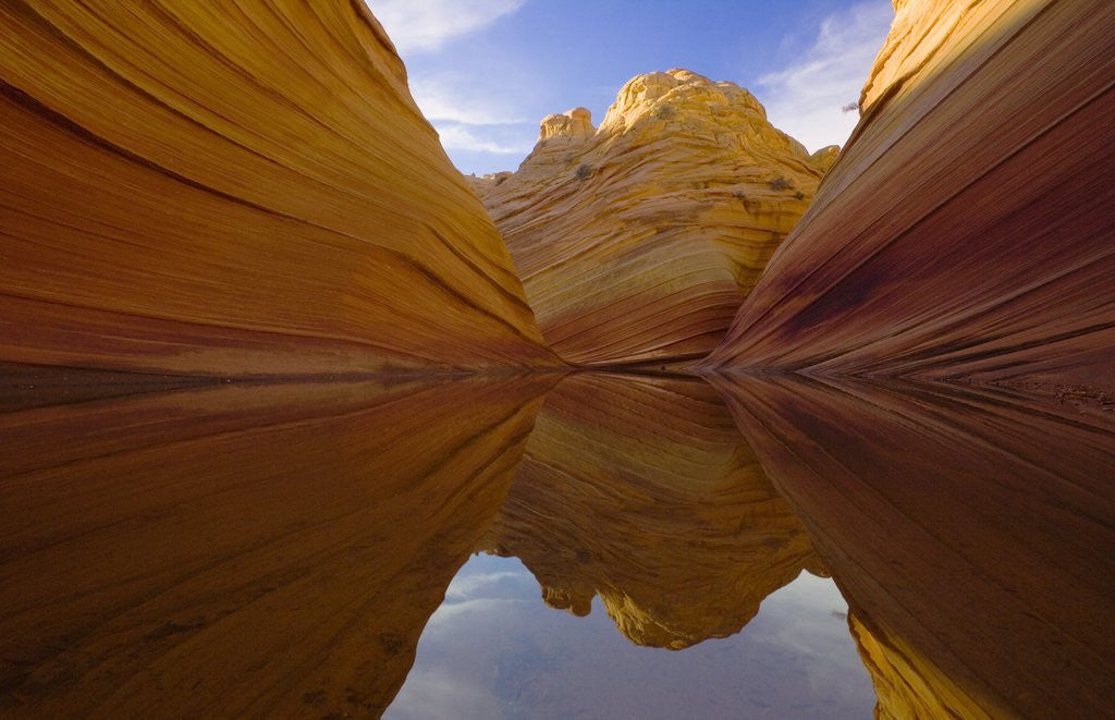 Detail of Rainwater Pool Among Sandstone Buttes by Anonymous