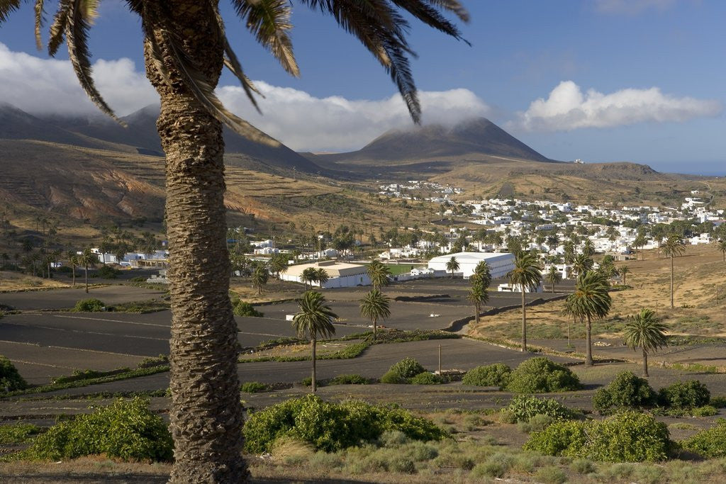 Detail of Haria by Anonymous