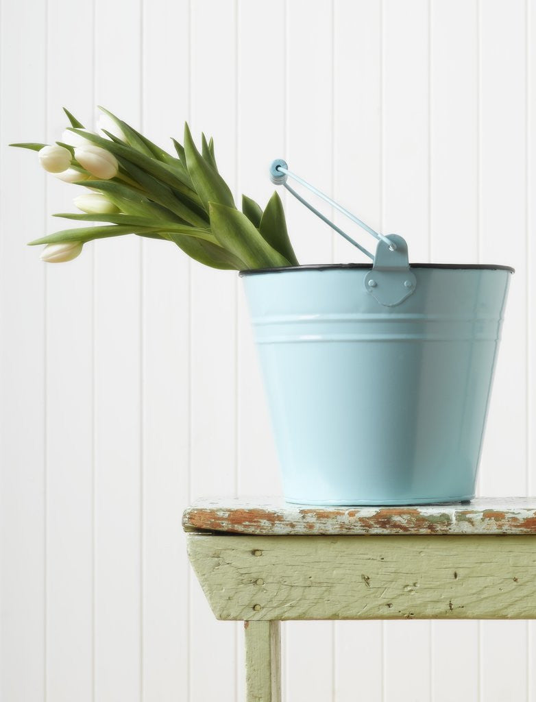 Detail of Bouquet of White Tulips in Bucket by Anonymous