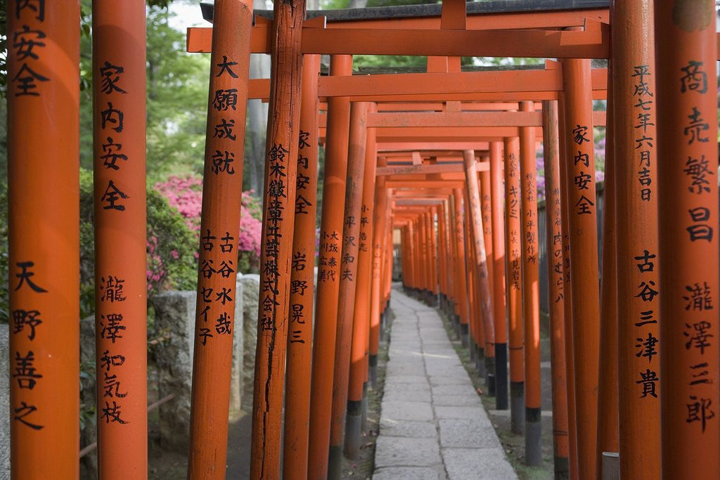 Detail of Red Arches Along Path to Nezu Shrine by Anonymous