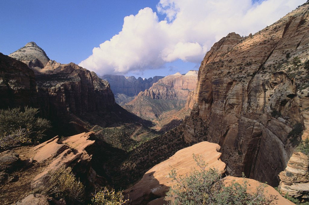 Detail of Steep Valley by Anonymous