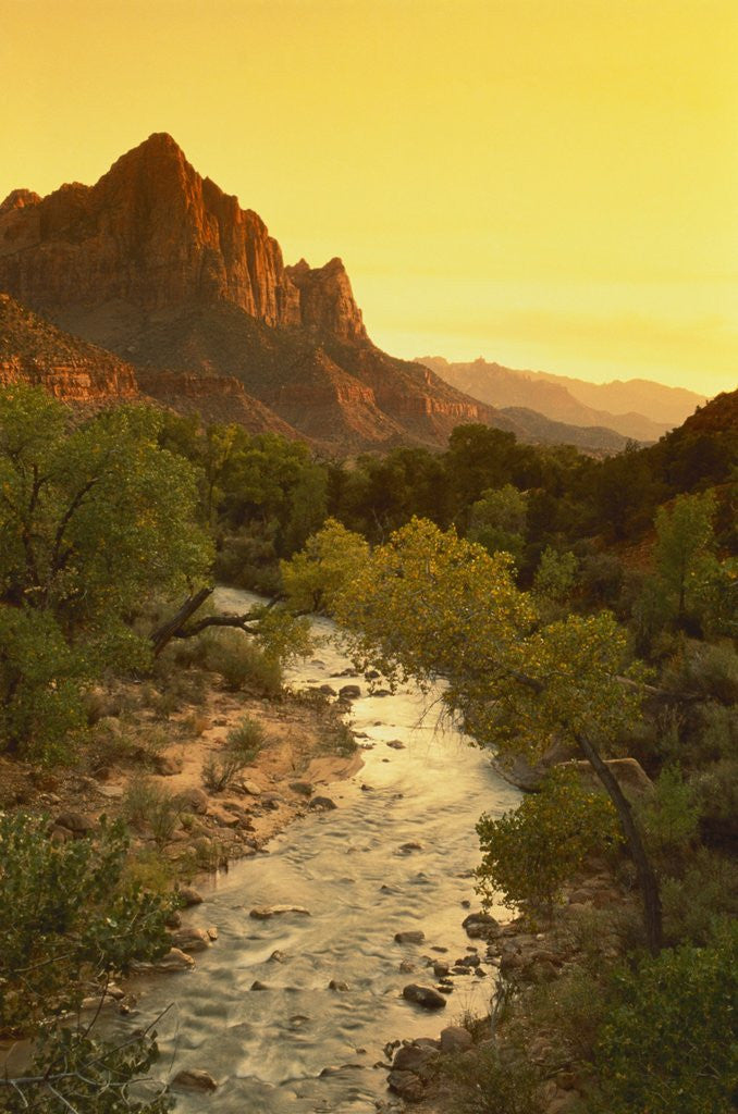 Detail of River at Sunset by Anonymous