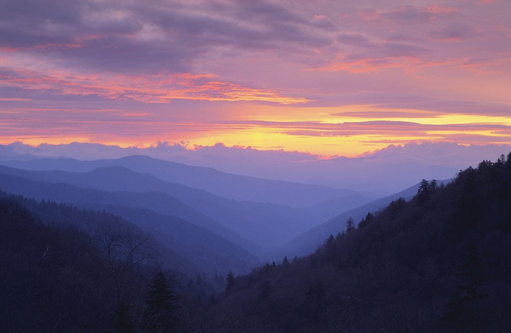 Detail of Rolling Hills by Anonymous