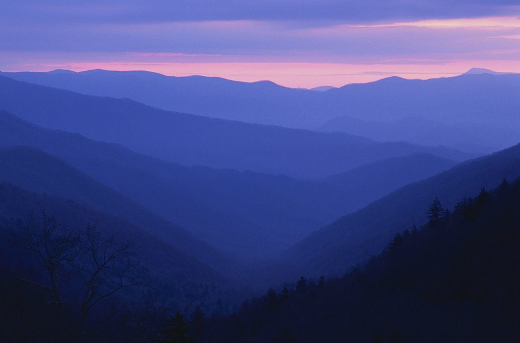 Detail of Rolling Hills by Anonymous