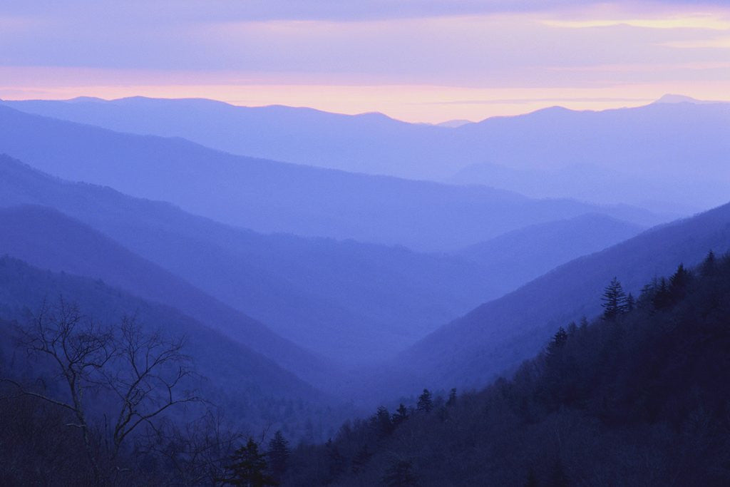 Detail of Rolling Hills by Anonymous