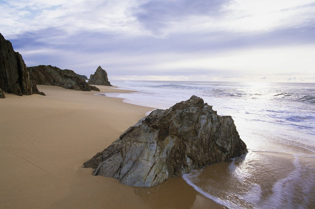 Detail of Beach at Mimosa Rocks National Park in Australia by Anonymous