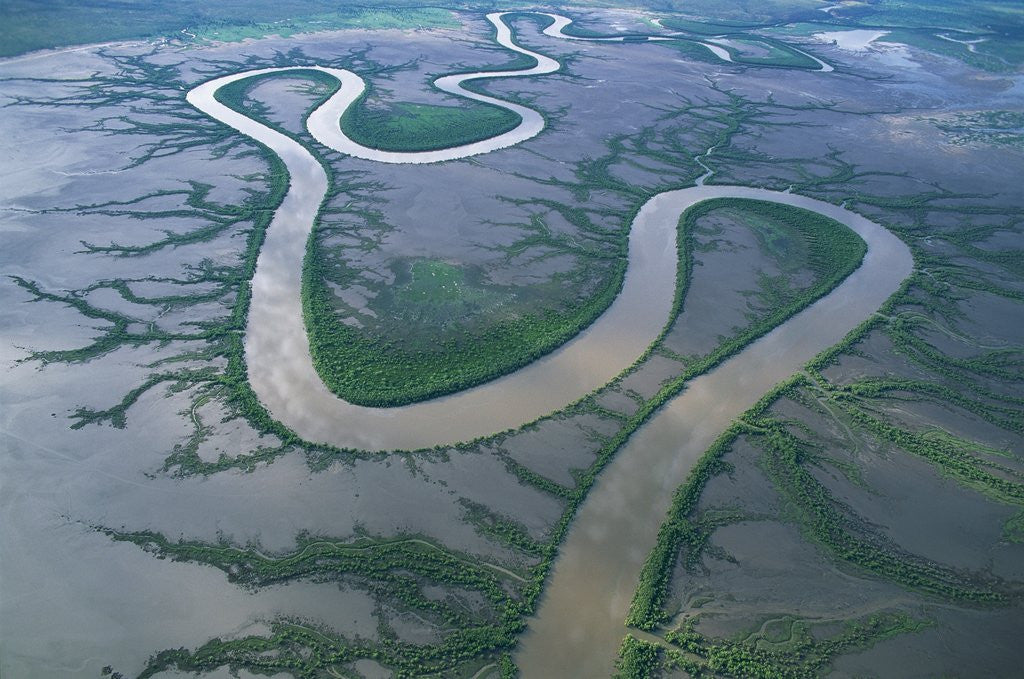 Detail of Meandering river in the Kimberley Region of Western Australia, aerial view by Anonymous