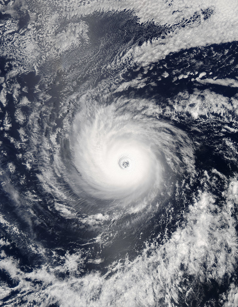 Detail of Hurricane Daniel by Corbis