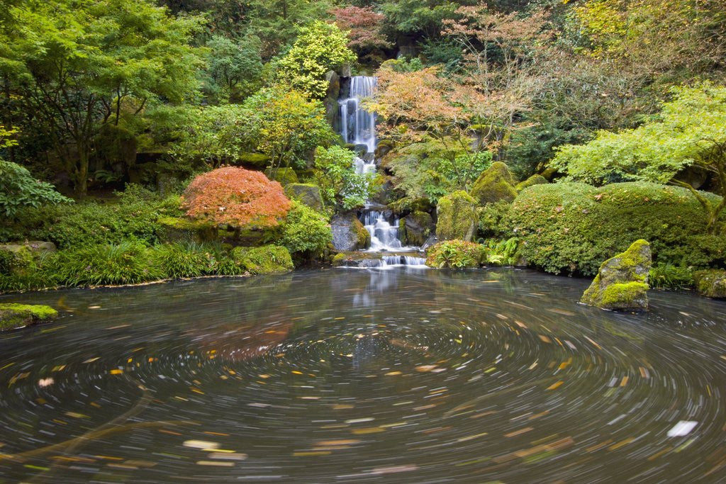 Detail of Swirling Pond Below Waterfall by Anonymous