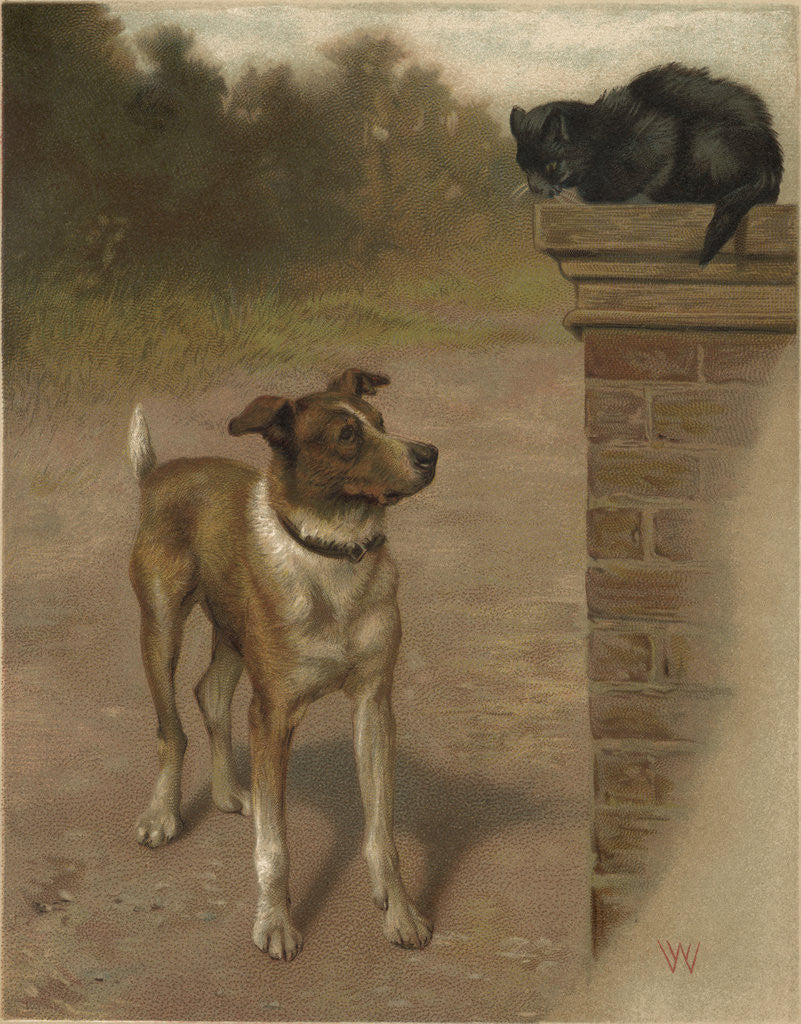 Detail of Illustration of a Dog and Cat by William Weekes
