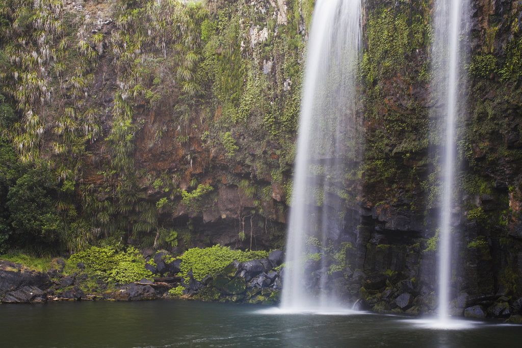 Detail of Whangarei Falls by Anonymous