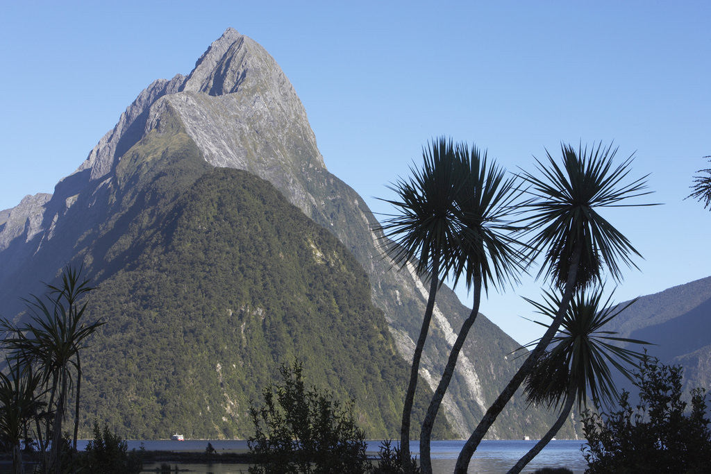 Detail of Mountains and Palm Trees Along Fjord by Corbis