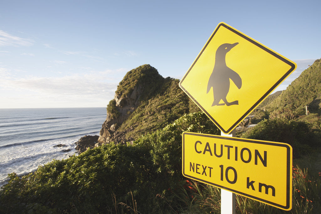 Detail of Penguin Crossing Sign by Anonymous