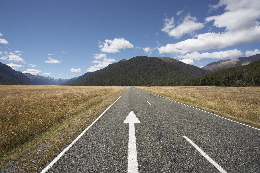 Detail of Highway in Fiordland National Park by Anonymous