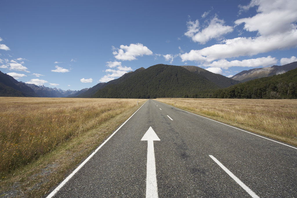 Detail of Highway in Fiordland National Park by Corbis