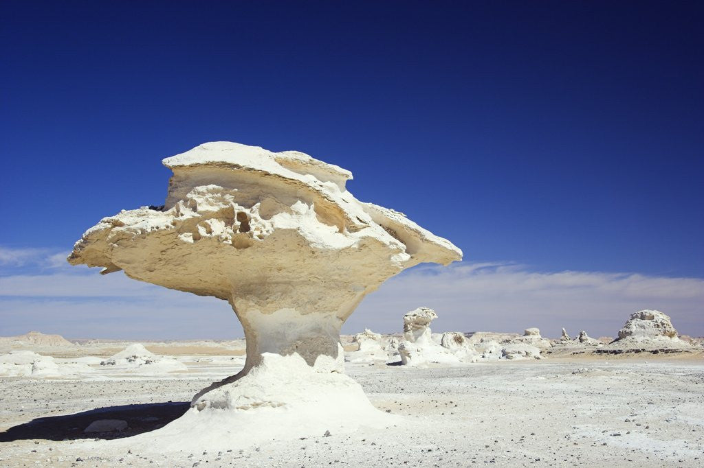 Detail of Limestone Formations in the Libyan Desert by Anonymous