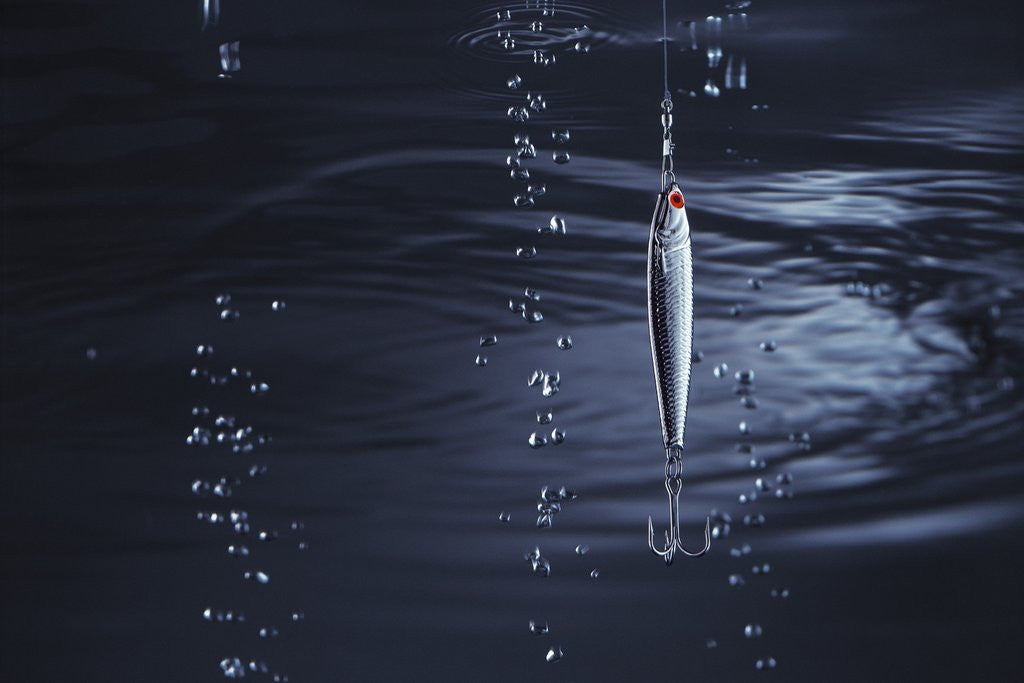 Detail of Fishhook by Anonymous