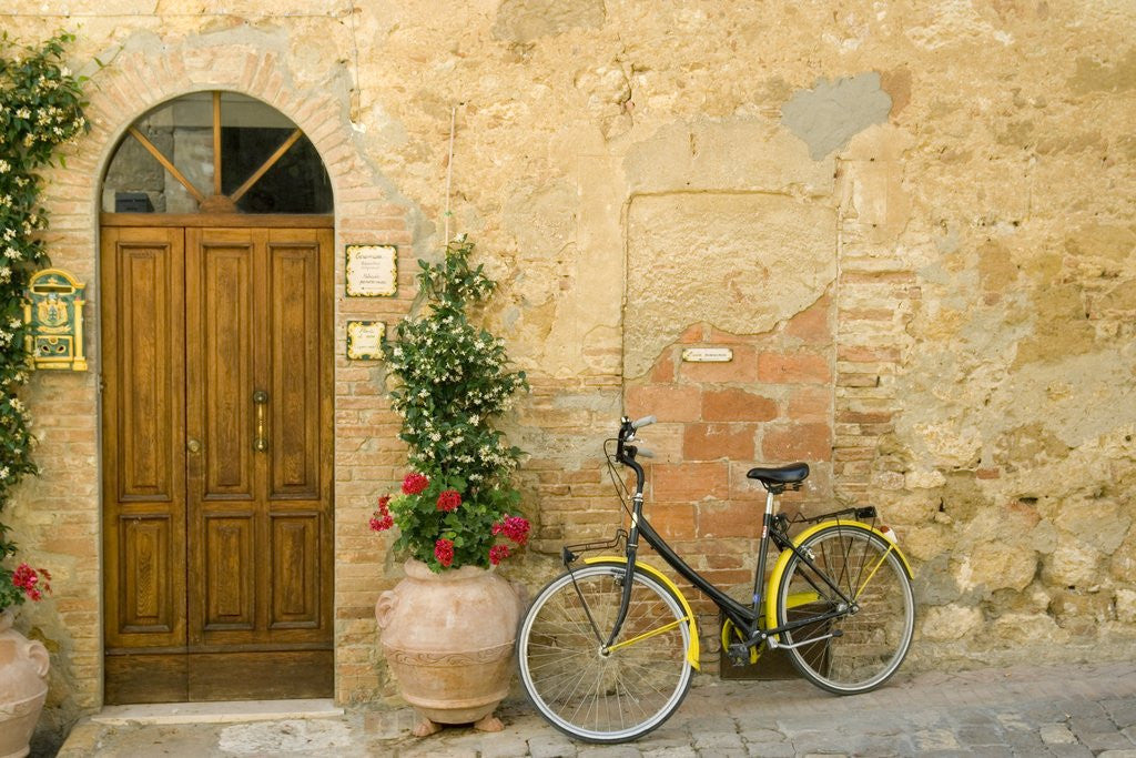 Detail of Bicycle Next to Flowers and Door by Anonymous