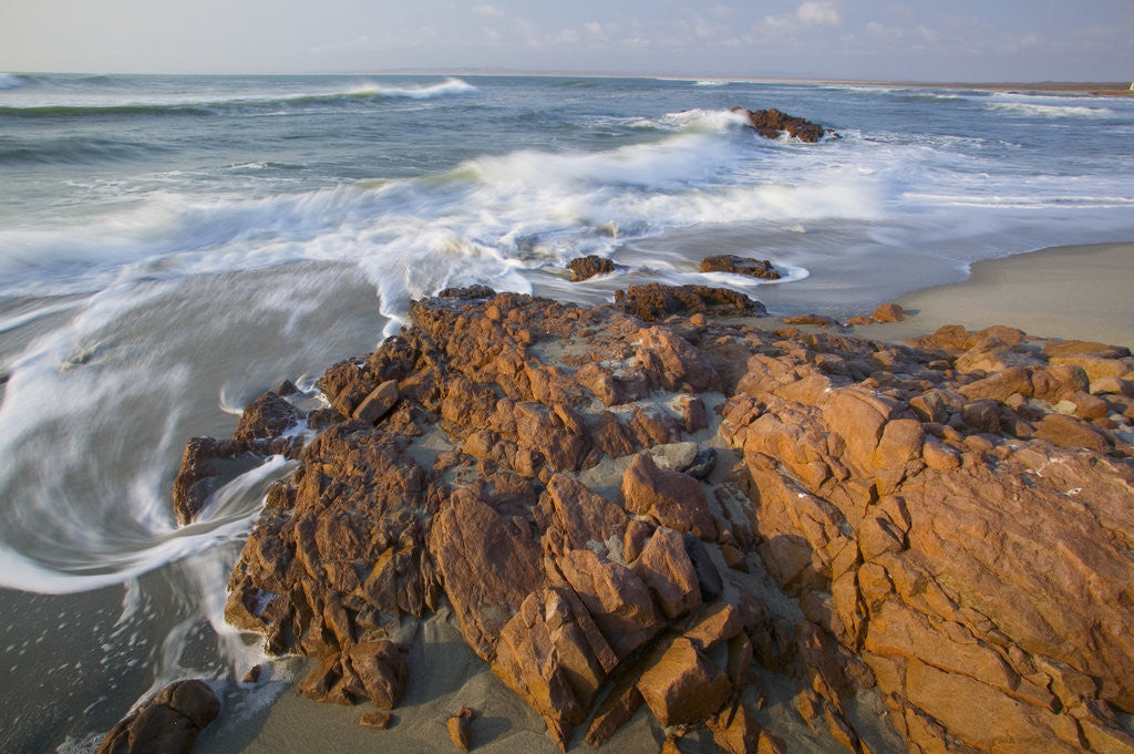 Detail of Rocky Beach by Anonymous