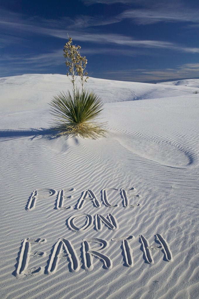 Detail of Peace On Earth Written in Sand by Anonymous