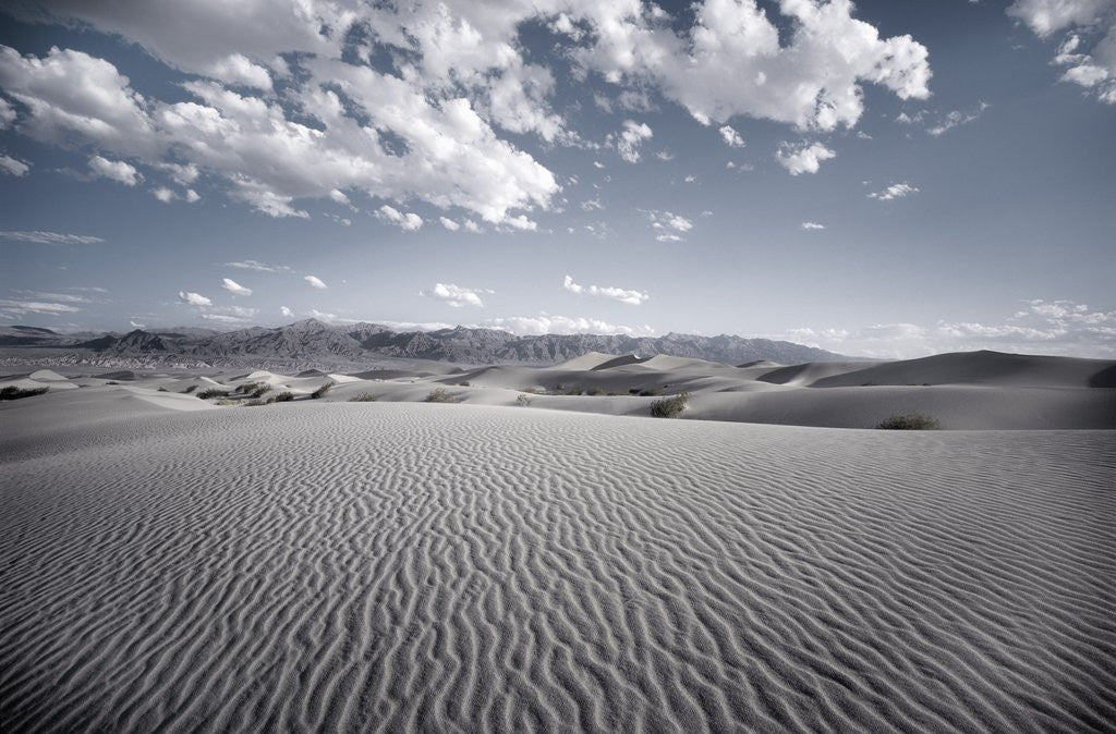 Detail of Sand Dunes by Anonymous
