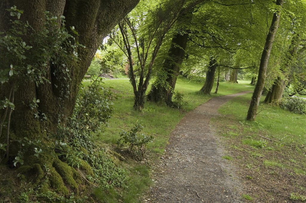 Detail of Woodstock Gardens and Arboretum by Anonymous