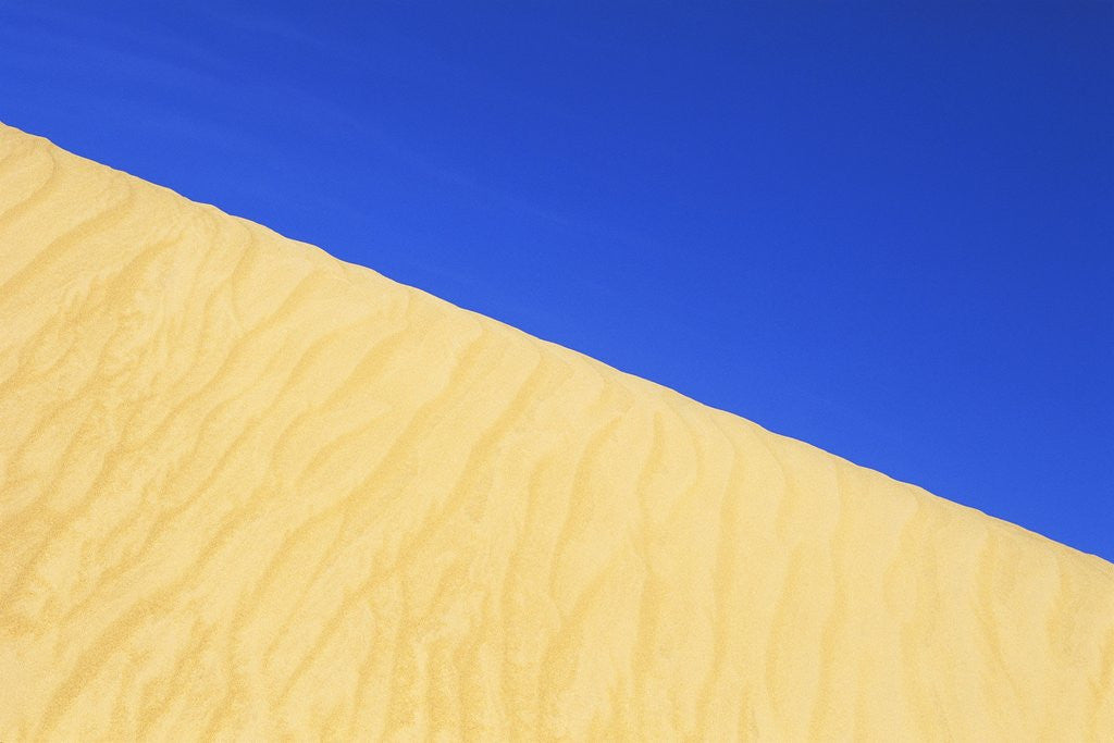 Detail of Sand Dune by Corbis