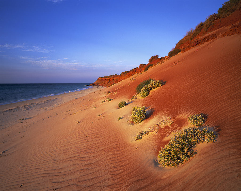 Red Sand Dunes Before an Australian Coastline by Corbis