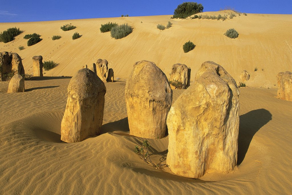 Detail of Limestone Pillars in Australian Desert by Corbis