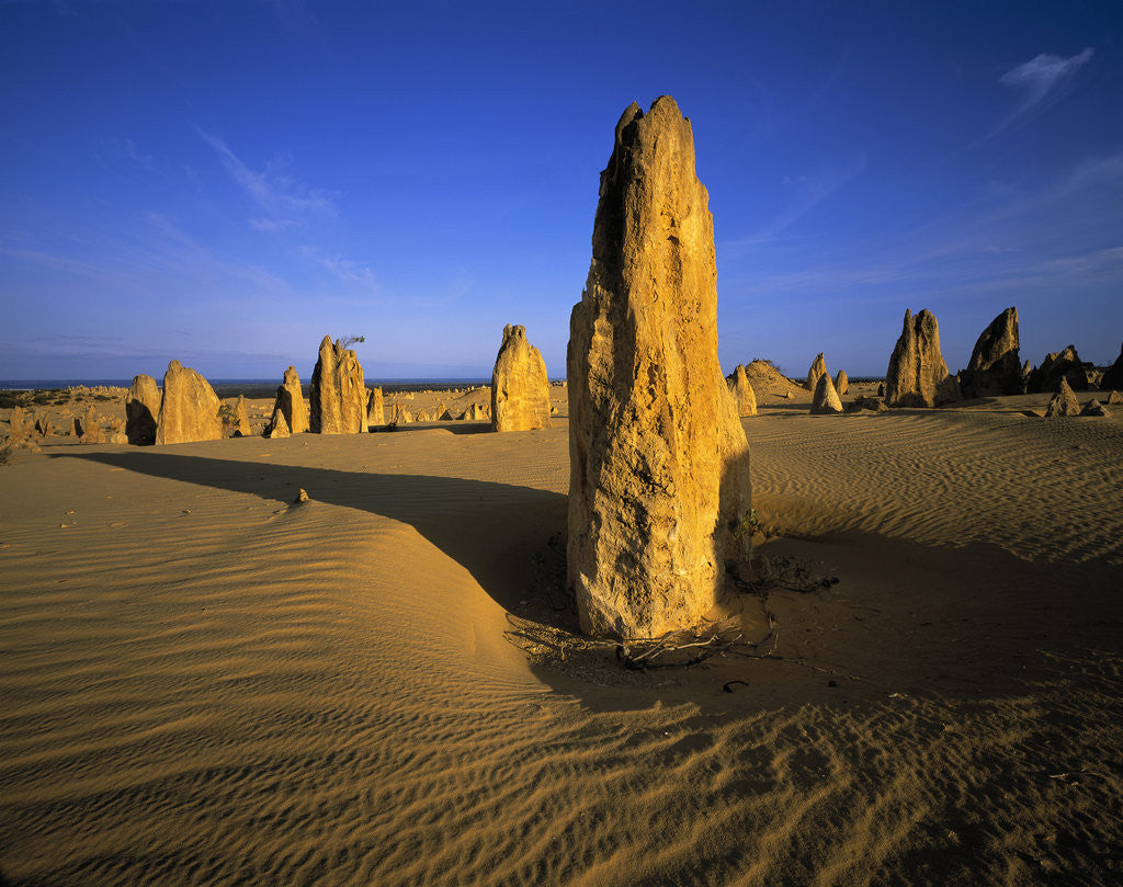 Detail of Limestone Pillars in Desert by Anonymous