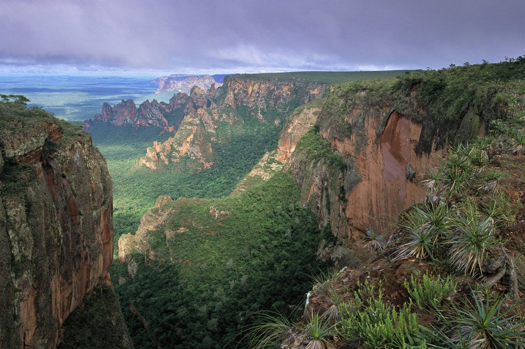 Detail of Chapada dos Guimaraes Mountain Range by Anonymous