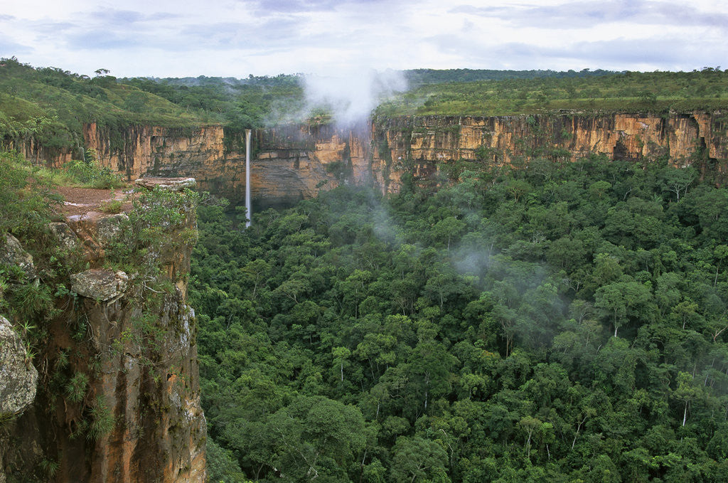 Detail of Chapada dos Guimaraes Mountain Range by Anonymous