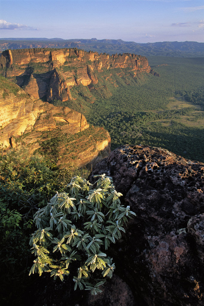 Detail of Chapada dos Guimaraes Mountain Range by Anonymous