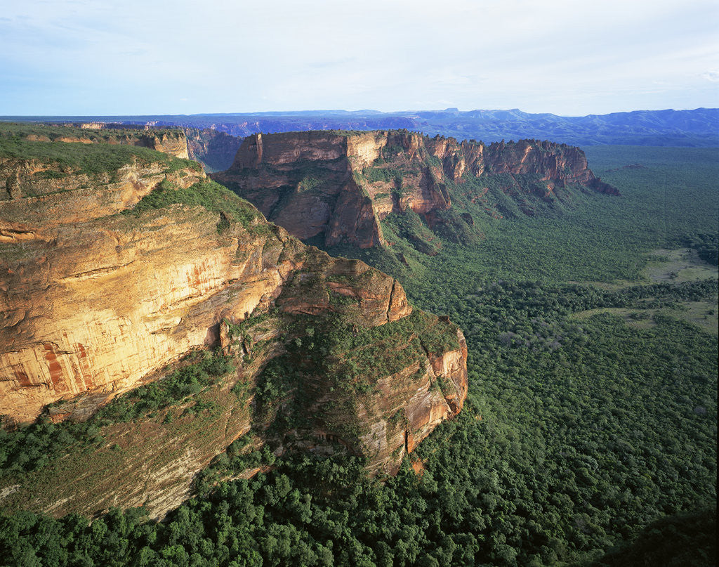 Detail of Chapada dos Guimaraes Mountain Range by Anonymous