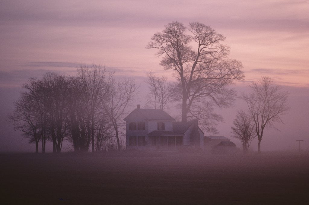 Detail of Fall Fog on Suffolk Virginia Farm by Corbis