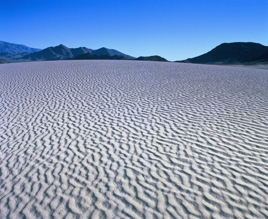 Detail of Wind Pattern in Desert Sand by Anonymous