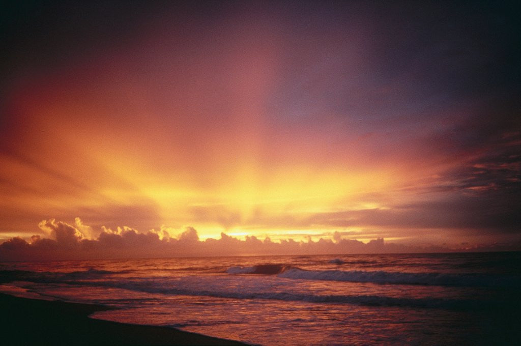Detail of Sunset at the Sea by Anonymous