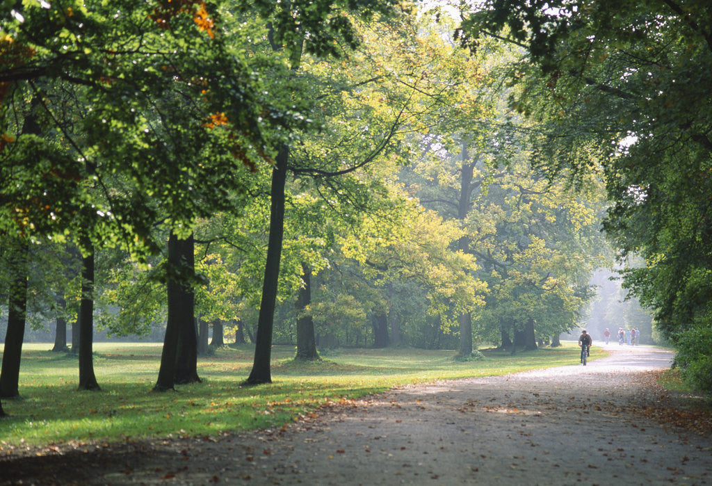 Detail of Englischer Garten in Munich by Anonymous