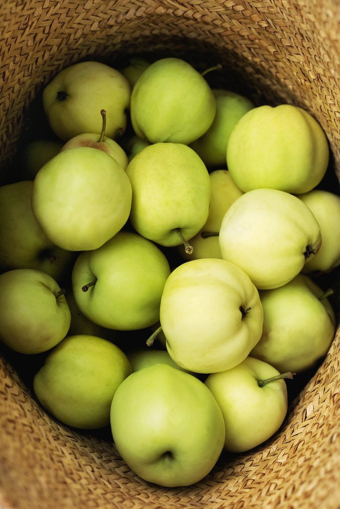 Detail of Green Apples in a Straw Hat by Anonymous