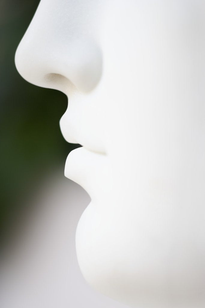 Detail of Mouth of an 18th Century Statue by Anonymous