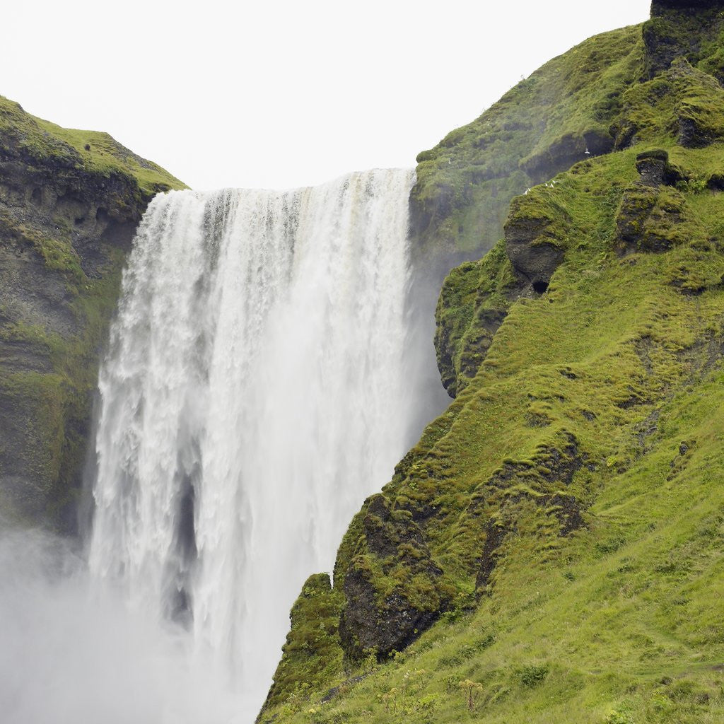 Detail of Waterfall by Anonymous