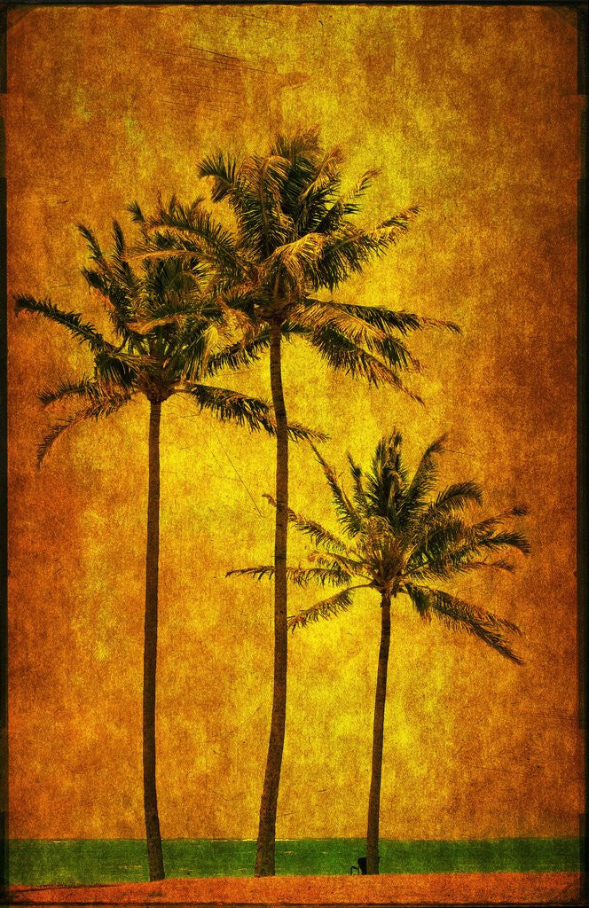 Detail of Three Palms by Doug Landreth