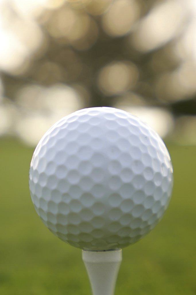 Detail of Golf by Anonymous
