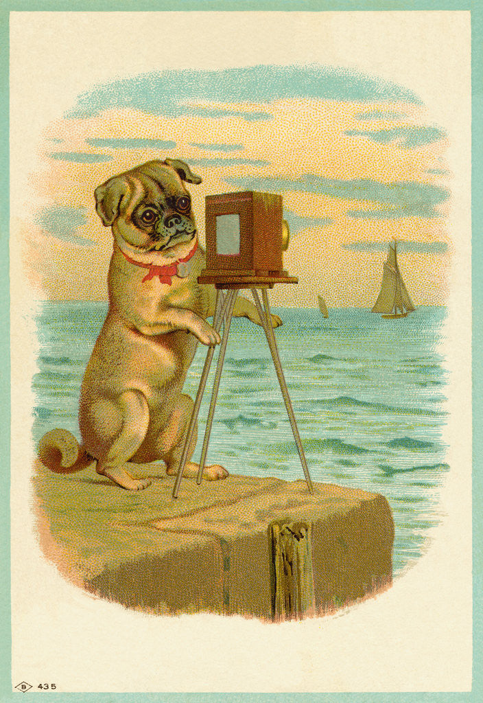 Detail of Postcard with a Pug and Camera by Anonymous